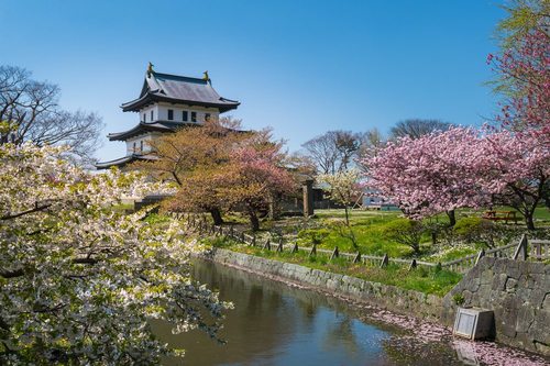 Điểm đến du lịch Nhật Bản mùa hoa anh đào Nhật Bản 2019