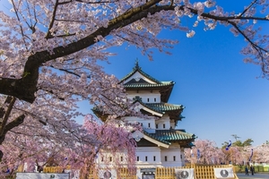Điểm đến du lịch Nhật Bản mùa hoa anh đào 2019