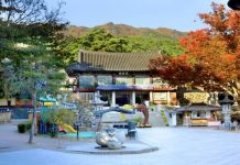 Đắm chìm trước vẻ đẹp cổ kính của đền Donghwasa – Hàn Quốc Đắm chìm trước vẻ đẹp cổ kính của đền Donghwasa - Hàn Quốc