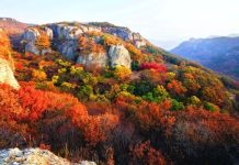 Du lịch vườn quốc gia Seoraksan Hàn Quốc có gì chơi? Du lịch vườn quốc gia Seoraksan Hàn Quốc có gì chơi?